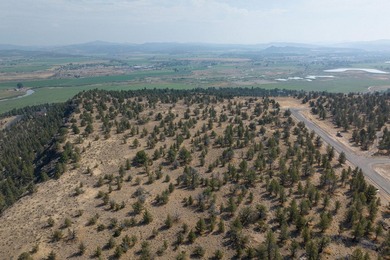 Welcome to Pinecrest Ridge - where wide open spaces meet endless - photo 11