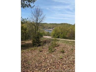 Build your dream home on this stunning .70 acre lot nestled in a - photo 1