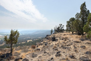 Welcome to Pinecrest Ridge - where wide open spaces meet endless - photo 21