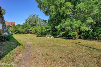 Rare multi-parcel offering in Wilmington's Brooklyn Arts - photo 25