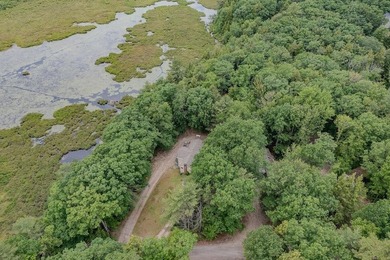 Imagine the possibilities! This exceptional 3-acre property in - photo 36