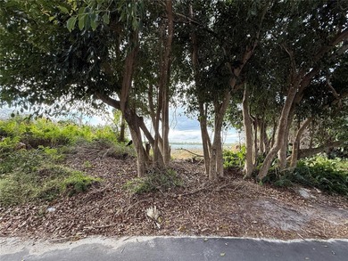 Direct Intracoastal Waterway North Beach homesite featuring a - photo 10