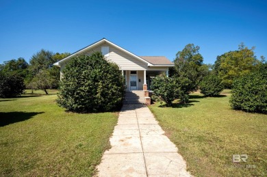 Welcome to 307 Salter Street, a beautifully preserved 1928 home