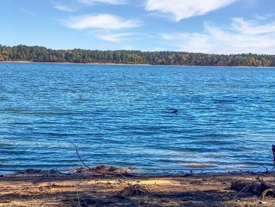 Build your dream lake home on this 1.14 acre private lake lot in - photo 6