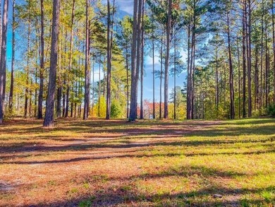 Build your dream lake home on this 1.14 acre private lake lot in - photo 7