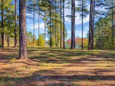 Build your dream lake home on this 1.14 acre private lake lot in - photo 9