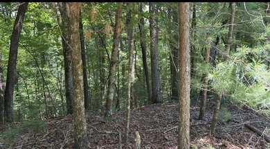 Build your North Georgia mountain dream home on this beautiful - photo 4