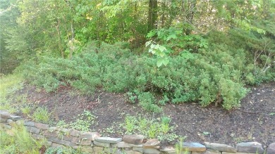 Lake Lot For Sale in Westminster, South Carolina
