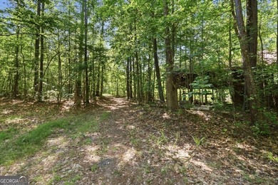 Rare opportunity to purchase 285.44 acres in Rockdale County - photo 3