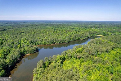 Rare opportunity to purchase 285.44 acres in Rockdale County - photo 7
