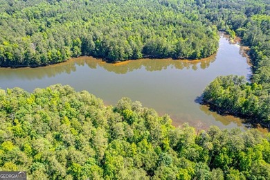 Rare opportunity to purchase 285.44 acres in Rockdale County - photo 8