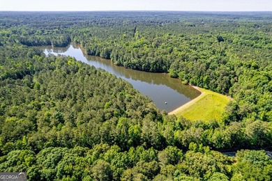 Rare opportunity to purchase 285.44 acres in Rockdale County - photo 9