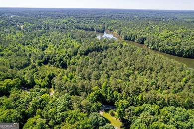 Rare opportunity to purchase 285.44 acres in Rockdale County - photo 10