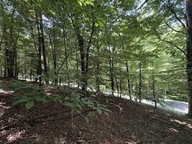 Build your North Georgia mountain DREAM HOME on this beautiful - photo 1