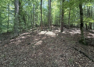 Build your North Georgia mountain DREAM HOME on this beautiful - photo 3