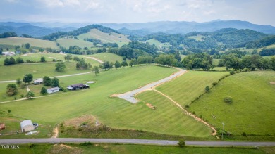Lake Lot For Sale in Butler, Tennessee