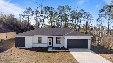 Lake Lapanocia Home For Sale in Deltona Florida