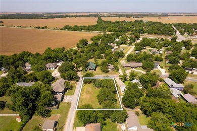 Large corner lot with tall mature trees in the heart of Granger - photo 13