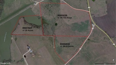 Lake Lot For Sale in Thrall, Texas