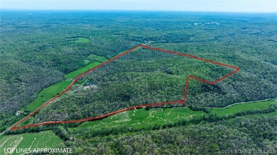 Tucked just outside Versailles, this 221+/- acre farm offers the - photo 6