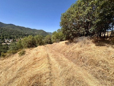 Rogue River Lot For Sale in Gold Hill Oregon
