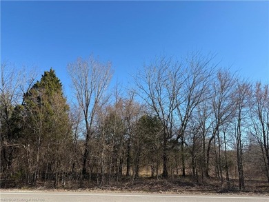 Discover 28 acres of opportunity just outside Keota near - photo 6