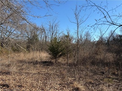 Discover 28 acres of opportunity just outside Keota near - photo 8