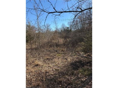 Discover 28 acres of opportunity just outside Keota near - photo 9