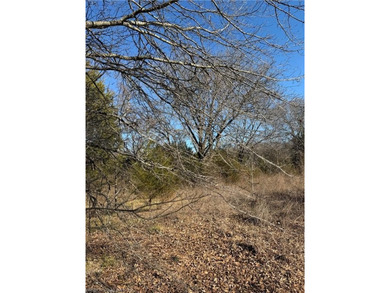 Discover 28 acres of opportunity just outside Keota near - photo 10