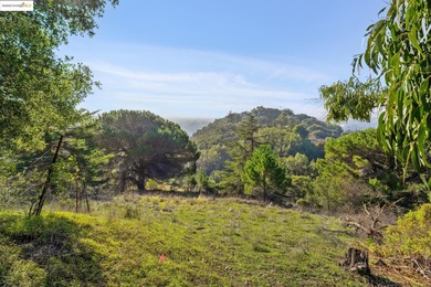 Rarely do you find a sun-drenched 4.7-acre lot with rolling - photo 18