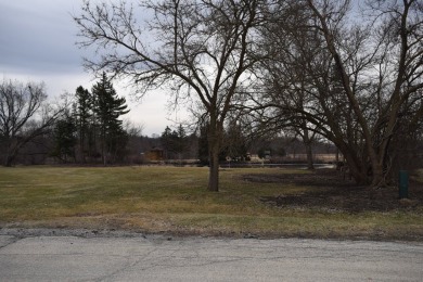 Lake Lot For Sale in Sleepy Hollow, Illinois