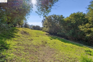 Rarely do you find a sun-drenched 4.7-acre lot with rolling - photo 33