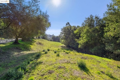 Rarely do you find a sun-drenched 4.7-acre lot with rolling - photo 35