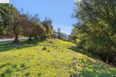 Rarely do you find a sun-drenched 4.7-acre lot with rolling - photo 36