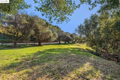Rarely do you find a sun-drenched 4.7-acre lot with rolling - photo 37