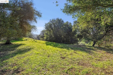 Rarely do you find a sun-drenched 4.7-acre lot with rolling - photo 39