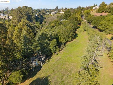 Rarely do you find a sun-drenched 4.7-acre lot with rolling - photo 41
