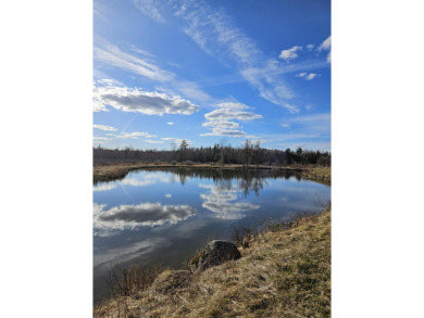 (private lake, pond, creek) Acreage For Sale in Glenburn Maine
