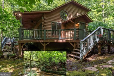 (private lake, pond, coastal) Home For Sale in Murphy North Carolina