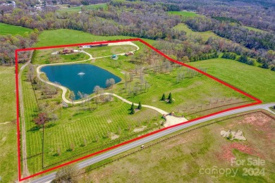 (private lake, pond, creek) Home For Sale in Union Grove North Carolina