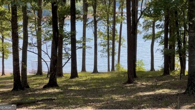What amazing views of the lake from every window across the back - photo 13
