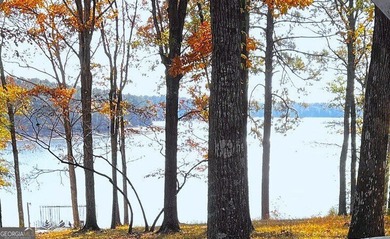 What amazing views of the lake from every window across the back - photo 14