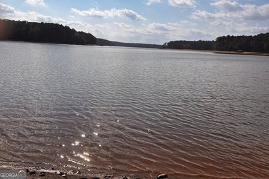 What amazing views of the lake from every window across the back - photo 15