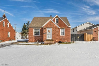 Lake Erie - Cuyahoga County Home For Sale in Cleveland Ohio