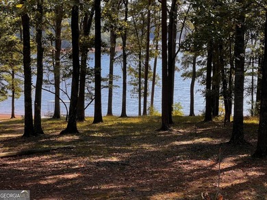 What amazing views of the lake from every window across the back - photo 50