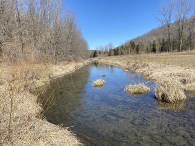 Class 1 Trout Stream on 53+/- Acres Vernon County
 - Lake Acreage For Sale in Readstown, Wisconsin