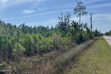 Enjoy the best of both convenience and nature with this 9.5-ACRE - photo 2