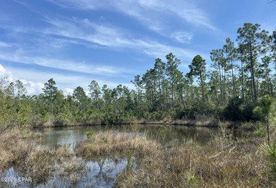 Enjoy the best of both convenience and nature with this 9.5-ACRE - photo 3