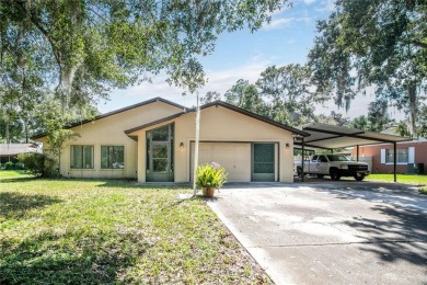 (private lake, pond, creek) Home For Sale in Tavares Florida