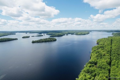 Lake Michigamme Lot For Sale in Michigamme Michigan